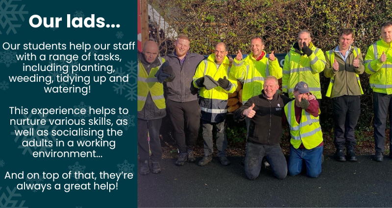 Our students help our staff with a range of tasks, including planting, weeding, tidying up and watering! This experience helps to nurture various skills, as well as socialising the adults in a working environment.
