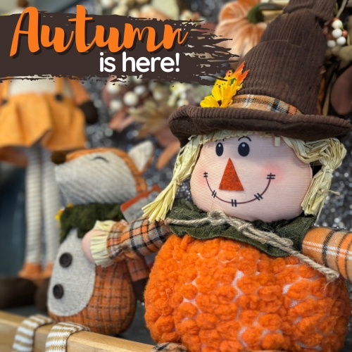 A picture of a scarecrow and a fox plush sat next to eachother, with the writing &quot;Autumn is here&quot; over the top.