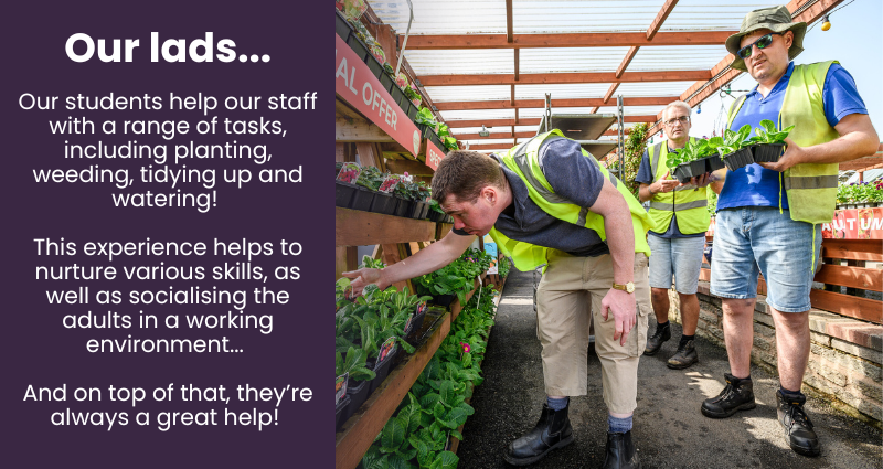 Our students help our staff with a range of tasks, including planting, weeding, tidying up and watering! 
This experience helps to nurture various skills, as well as socialising the adults in a working environment.