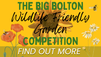 The Big Bolton "Wildlife Friendly Garden" Competition